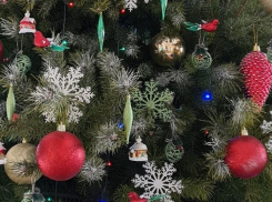 В Тамбове устроят ёлочную выставку муниципалитетов