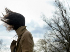 В Москве ураган, а Тамбов в ожидании