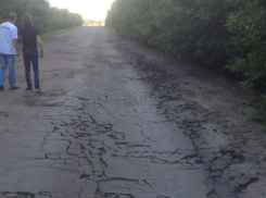 Какие из тамбовских дорог «давно не живы», властям напомнили активисты ОНФ