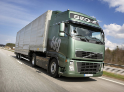 Убийцам водителя-дальнобойщика вынесли приговор в Тамбовской области 