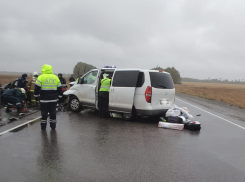 В Сампурском районе в ДТП с участием микроавтобуса погибли три человека