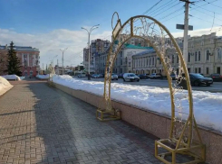 Компания «Норгрупп» требует от администрации Тамбова почти 13 миллионов рублей за новогодние украшения