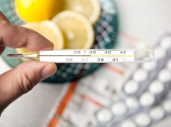 В Тамбовской области несколько снизилась заболеваемость ОРВИ