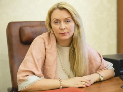 «Единая Россия» приостановила членство Степичевой в партии