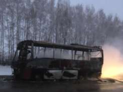 На трассе «Тамбов-Воронеж» сгорел рейсовый автобус