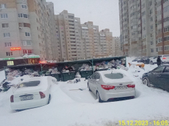 Власти Тамбова поддержали предложение АО «ТСК» о запрете парковки возле контейнерных площадок