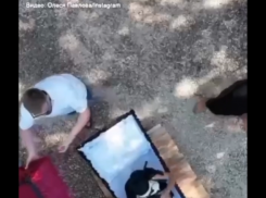 Бастрыкин потребовал доклад о ходе расследования дела тамбовчанки Олеси Павловой