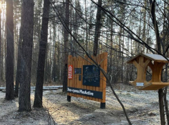 Завершён первый этап благоустройства тропинки к Святовскому озеру