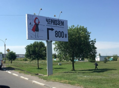 До «Чернозема»  и обратно пустят дополнительные автобусы