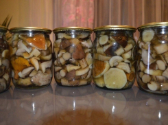 В регионе за последние полгода грибами отравились 8 человек   