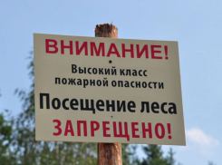 В Тамбовской области запрещено посещать леса 