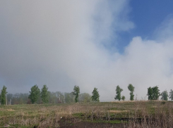 Гори оно синим пламенем. «Волнующая» свалка в Никифоровке полыхает