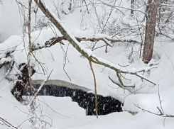В Цну в районе старой Тулиновской дороги сливают чёрные стоки
