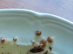 Минобрнауки проверило столовую тамбовского колледжа из-за таракана в гречке