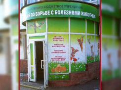 В Тамбове ветеринарного врача подозревают во взяточничестве