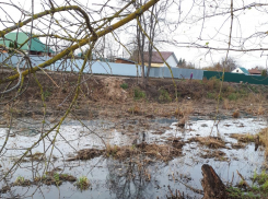 Тамбовские дачники вновь жалуются на расчистку стариц Цны