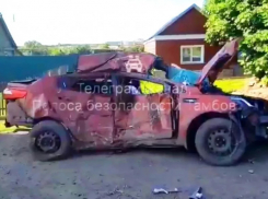 В Кирсановском районе девушка погибла при столкновении с дорожным знаком и деревом 