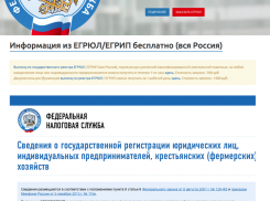 Более 400 тамбовских организаций будут автоматически исключены из ЕГРЮЛ