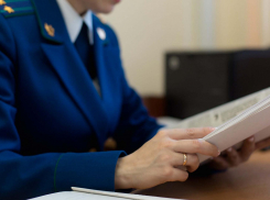 Местные власти забыли про земельные участки для многодетных рассказовских семей