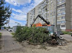 В Тамбове за две недели мая вывезено больше 180 стихийных свалок