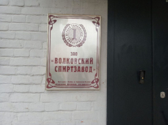 Работники «Волковского спиртзавода» в Тамбове полгода не получали зарплату