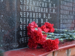 На Тамбовском некрополе почтили память воинов 
