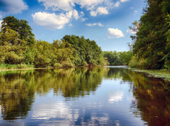 Тамбовчанам предлагают выбрать реки,  которые необходимо расчистить