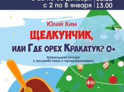 Самая «крепкая» новогодняя сказка «Щелкунчик» предвосхитит праздничное настроение тамбовчан