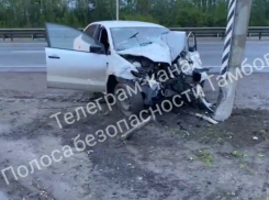В Тамбовской области пьяный водитель «Поло» врезался в столб и проспал до приезда «скорой»