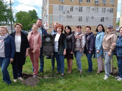 В Тамбове появилась аллея лип и рябин в память медработников, отдавших свои жизни при борьбе с COVID-19