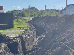 Администрация Покрово-Пригородного сельсовета ответит за повреждение электросетей в Тамбове