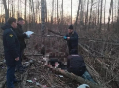 Названа причина смерти найденной на берегу реки пары в Никифоровском районе