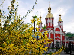 Чего ожидать в Тамбове от погоды на выходных?