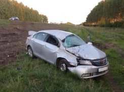 В ДТП под Тамбовом пострадали несколько детей