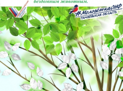 В Тамбове пройдёт массовый сбор макулатуры