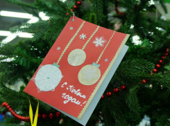 Мичуринцы смогут побыть в роли Дедов Морозов для детей и одиноких пожилых людей