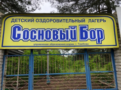 Тамбовской области решили воскресить лагерь «Сосновый бор»