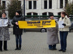 Госдума поддержала ужесточение наказания за издевательства над животными. «Ура» сказали тамбовские зоозащитники 