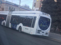 Белорусский электробус колесит по Тамбову, став героем соцсетей