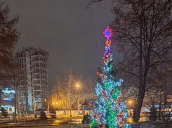 Рабочая неделя в Тамбове начнётся с минусовых температур