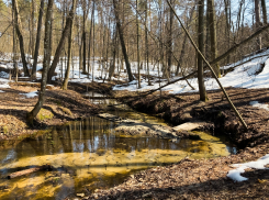 В Тамбове на этой неделе потеплеет до +12 градусов