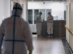 39 тамбовчан заболели коронавирусом за сутки