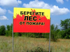 В Тамбовской области установлен 4 класс пожарной опасности