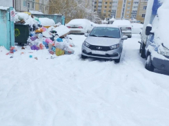 Снегопады и рост объемов мусора осложнили работу мусоровозов в Тамбовской области