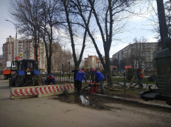 Коммунальщики Тамбова продолжают борьбу с прорывами и засорами 