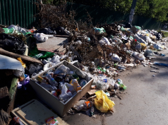 Несанкционированная свалка на дороге у парка Дружбы становится все больше