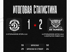 ХК «Тамбов» завершил сезон победой над питерским «Динамо»