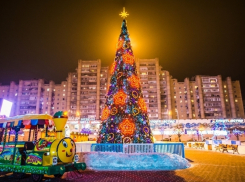 Тамбовчане выбрали самую красивую городскую елку