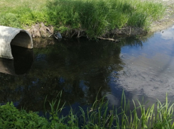 В Моршанске выявлено загрязнение Цны стоками местных тепловых сетей