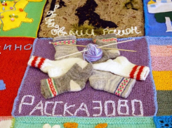 Дизайнеры из Чувашии создали логотип бренда для «носков–путешественников»